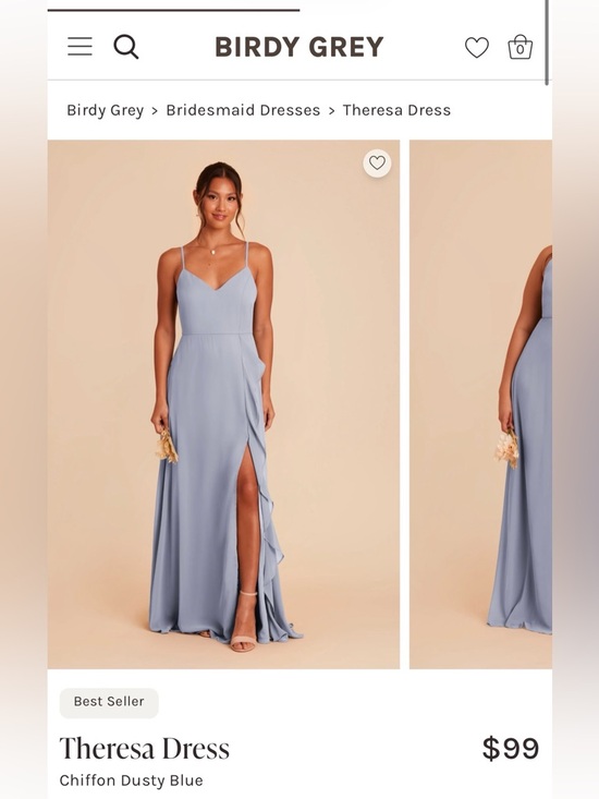 Birdy Grey Dresses & Skirts - Birdy Grey Theresa Spaghetti-Strap Wedding Bridesmaids Dress in Dusty Blue